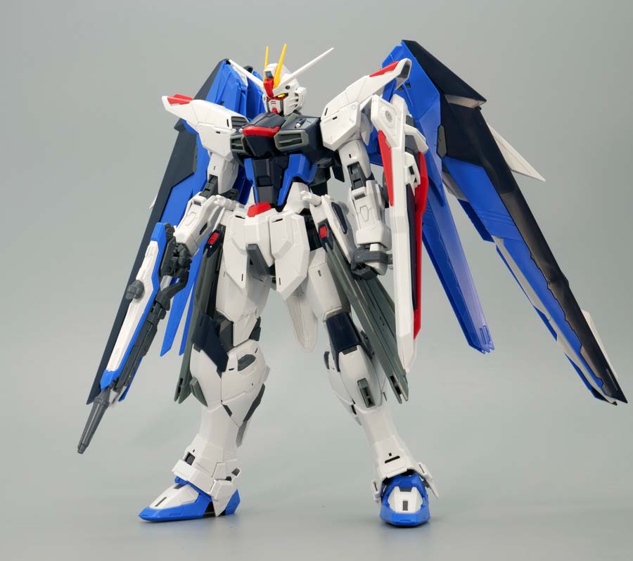 在庫限り】 MG フリーダムガンダム 説明書 econet.bi