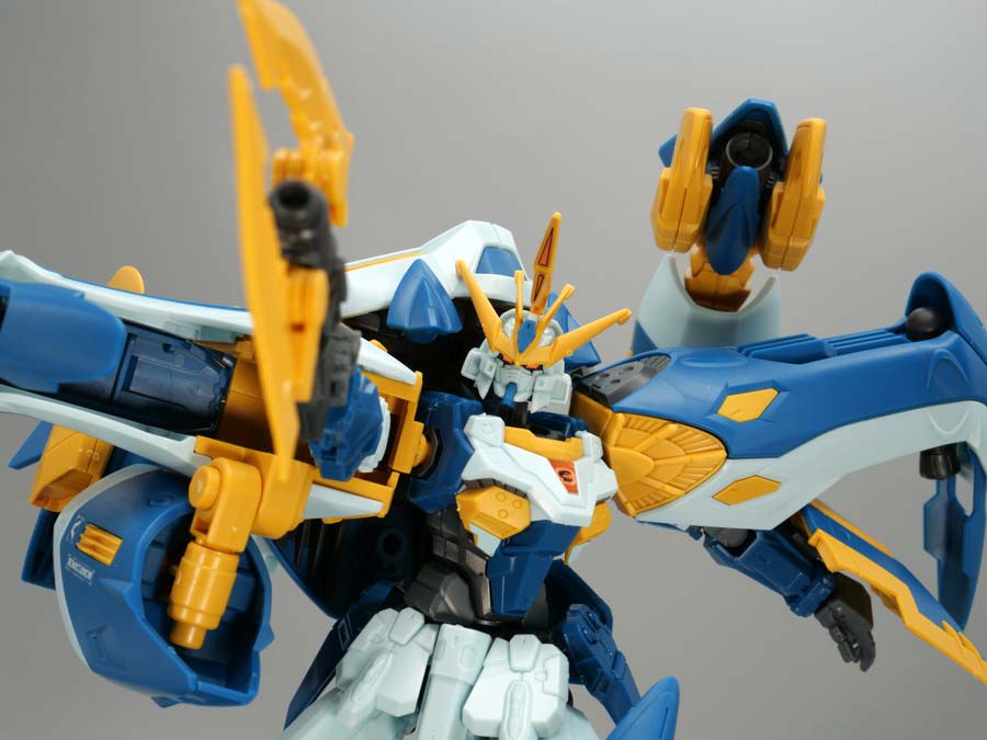 HGガンダムバーンレプオスのガンプラレビュー画像です